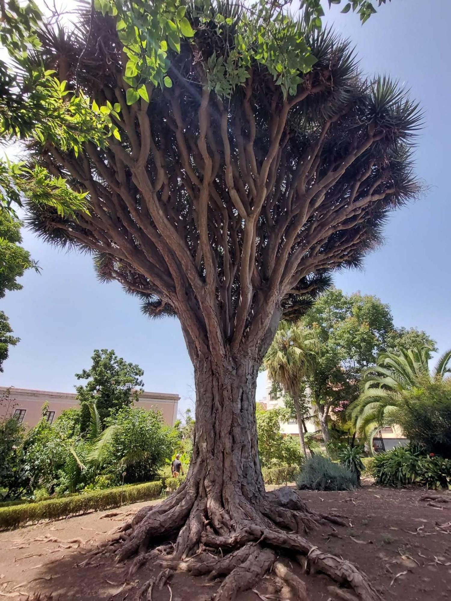 Appartamento Con 1 Camera Da Letto Con Vista Ov223 Costa Adeje  Buitenkant foto